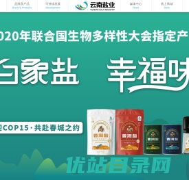 云南省盐业有限公司官网