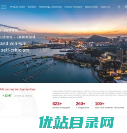 无线物联网全球解决方案提供商