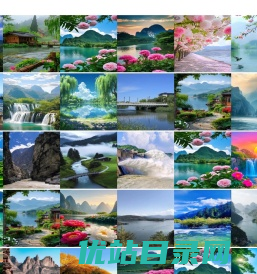 斗山挖掘机装载机宽体车