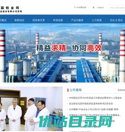 中国铝业股份有限公司