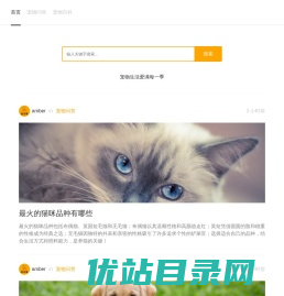 宠玩季