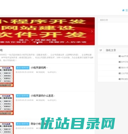 APP开发