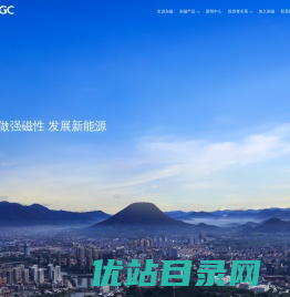 横店集团东磁股份有限公司