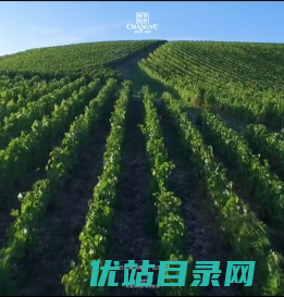 首页