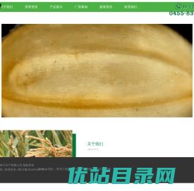 水稻种子