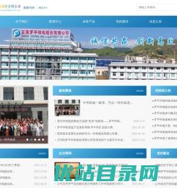云南罗平锌电股份有限公司