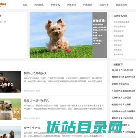 比特宠物吧